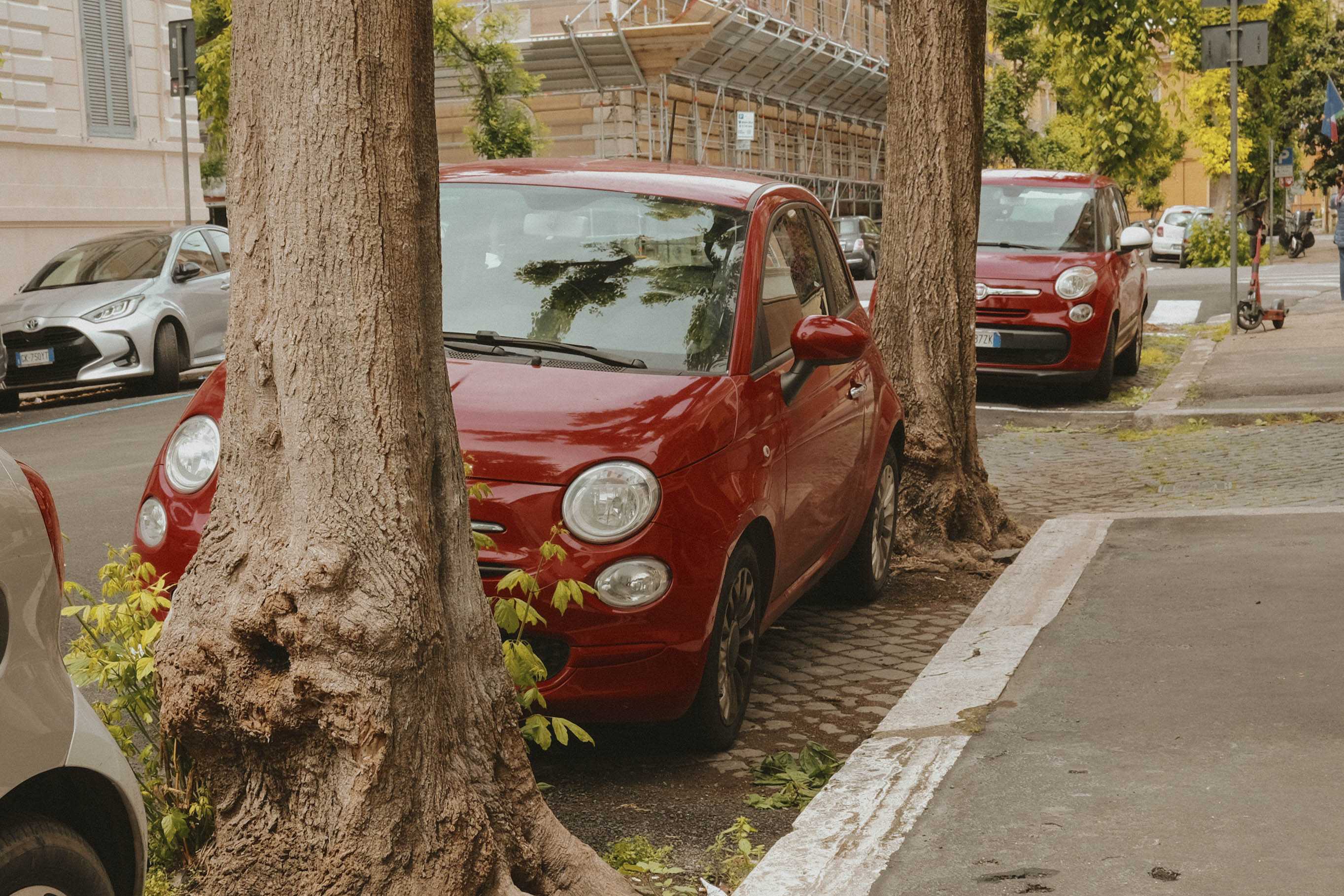 Fiat parked between two trees