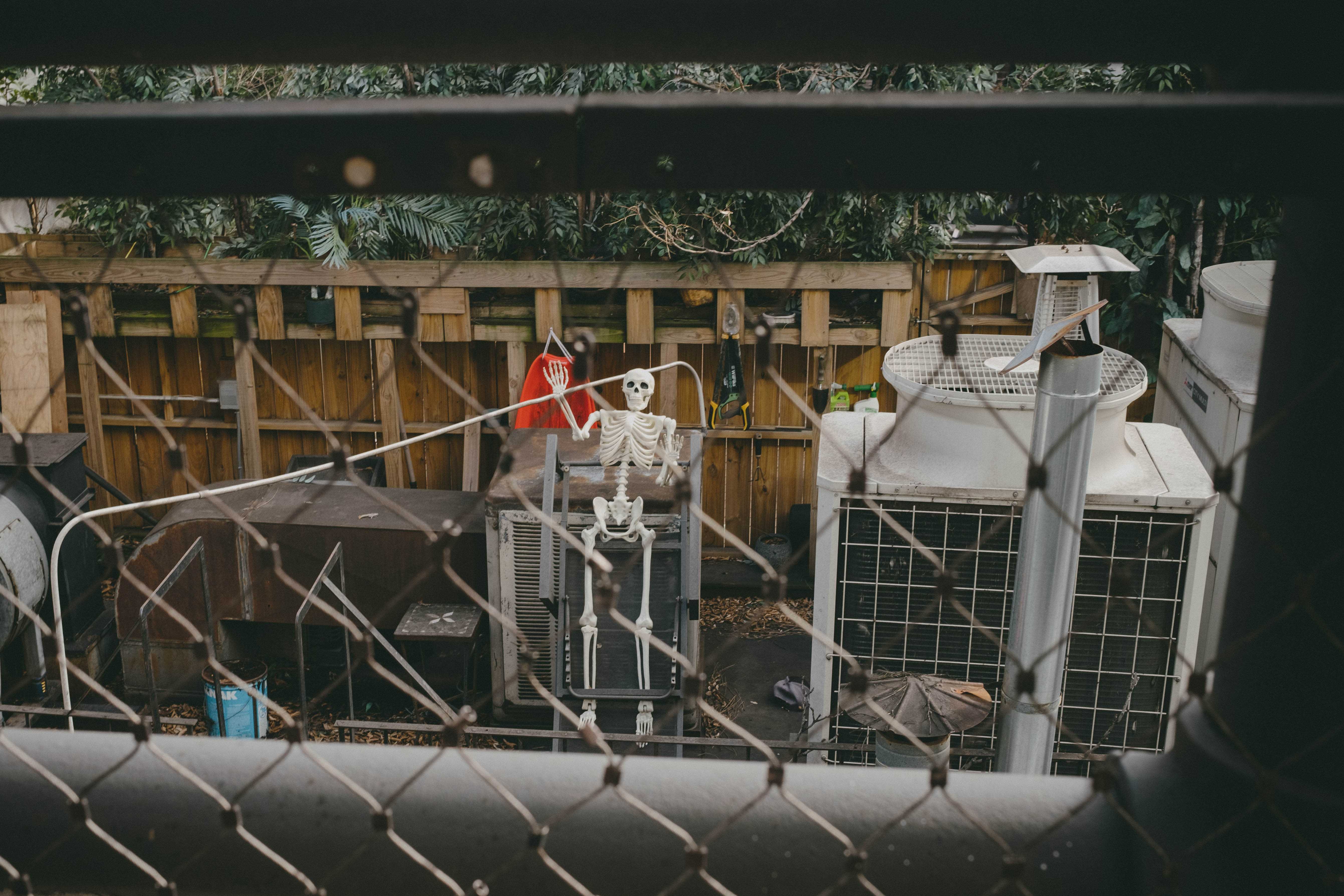 Plastic skeleton on a roofdeck, waving at passers-by on the High Line