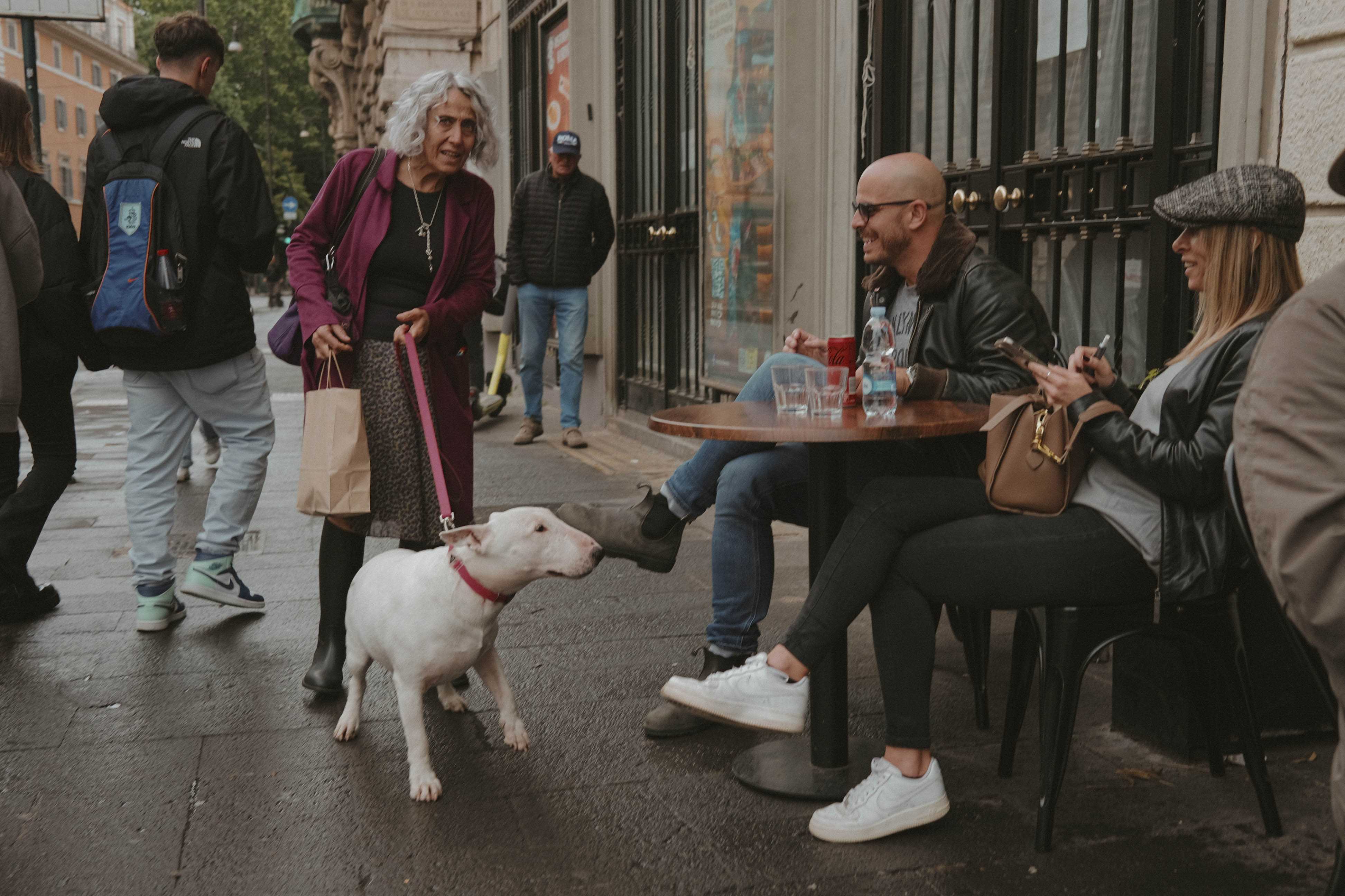 Woman with a dog approaching a table of diners