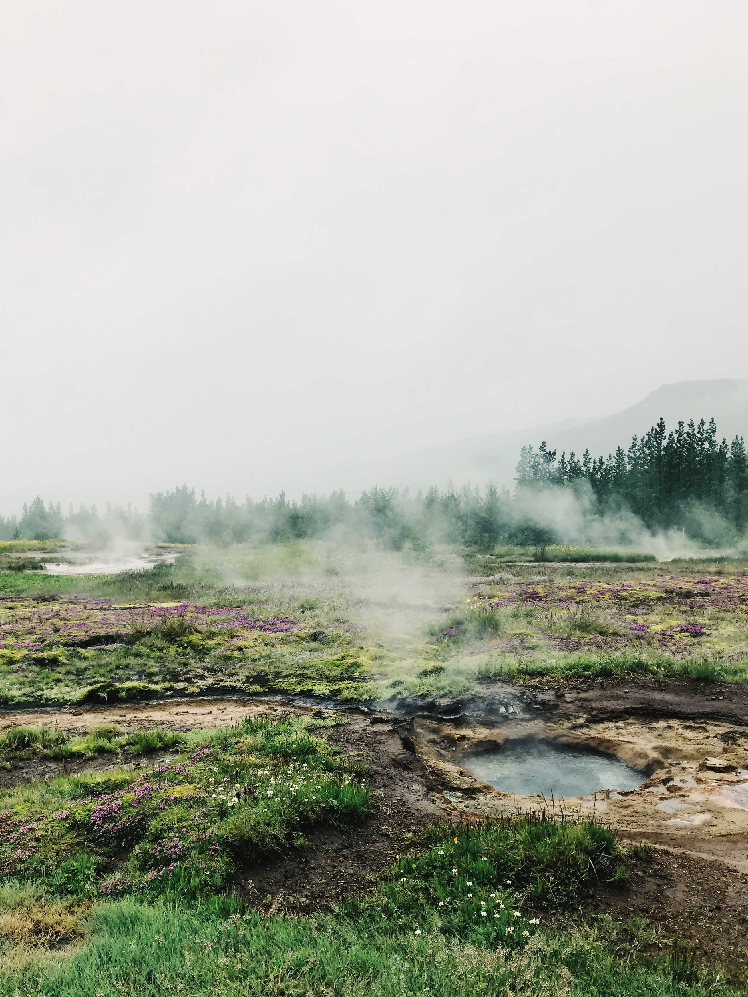 Geysir