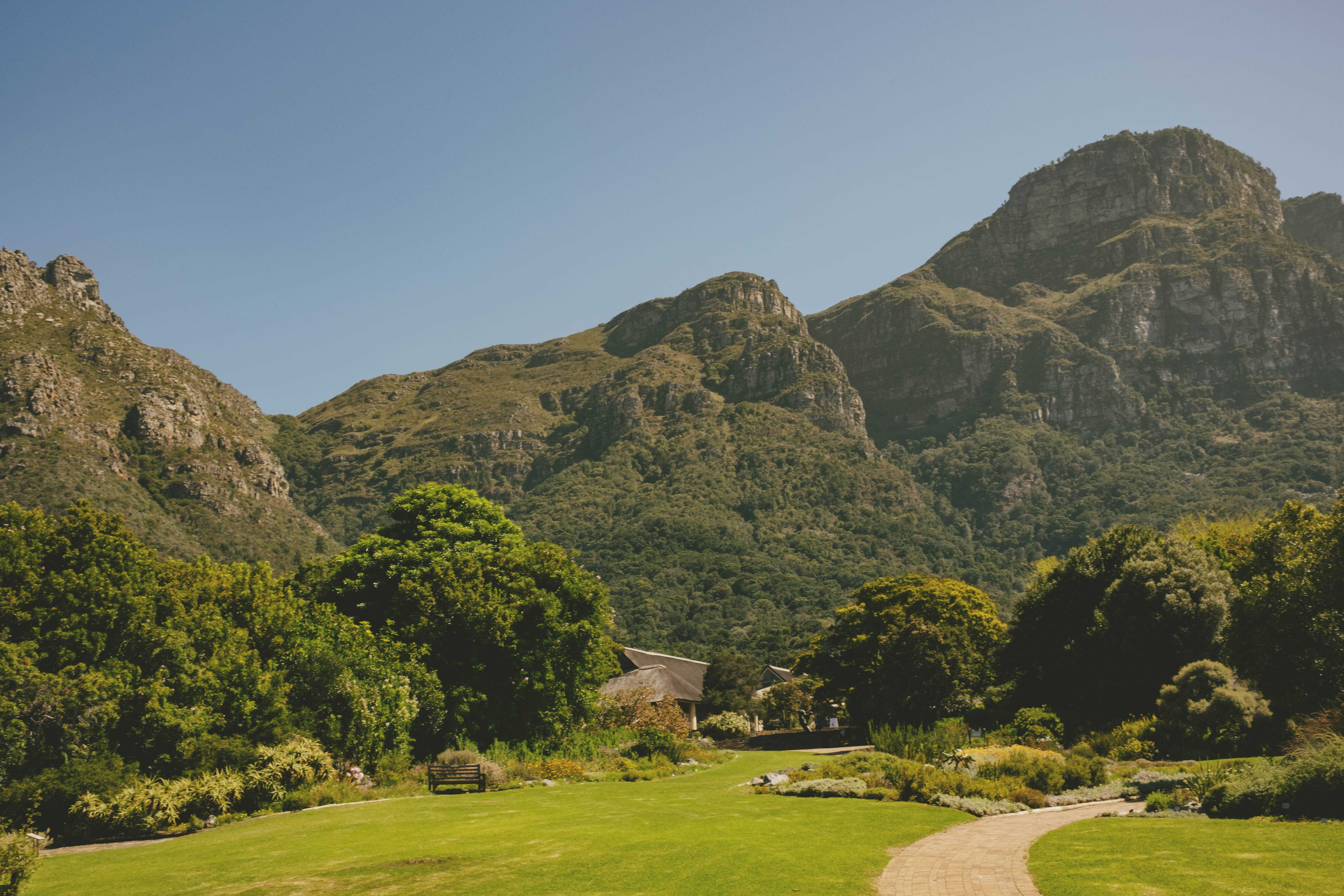 Franschhoek valley with grapevines in the foreground